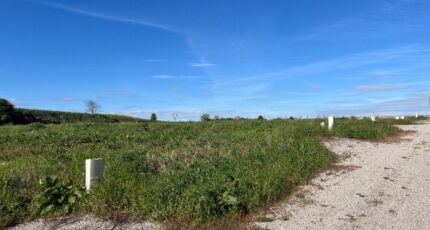 Amiens Terrain à bâtir - 1885647-10910annonce120240620PZniN.jpeg Maisons Les Naturelles