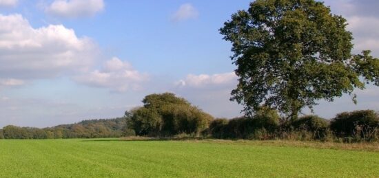 Terrain à bâtir à , Somme